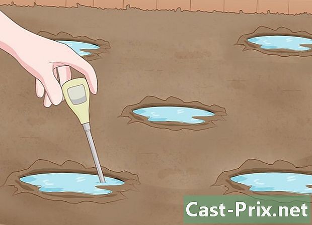 Bagaimana untuk menguji pH tanah anda