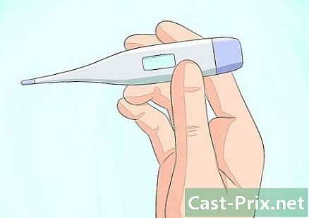 Como engravidar durante a amamentação sem menstruar