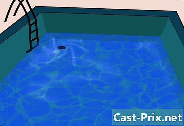 Come trattare le alghe in una piscina