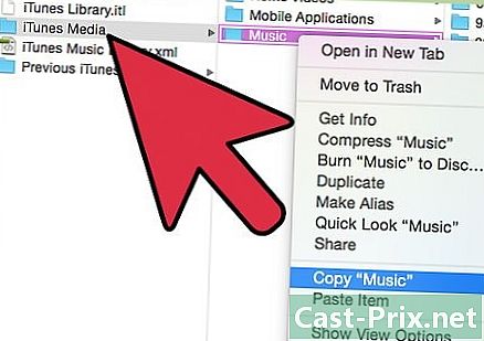 Cómo transferir archivos de iTunes a LG G2 - Guías