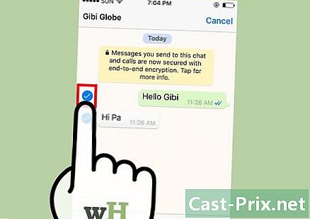 Sådan overføres en meddelelse på WhatsApp - Guider