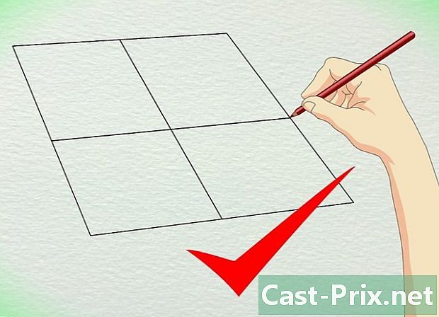 Cómo trabajar con cuadrados de Punnett - Guías