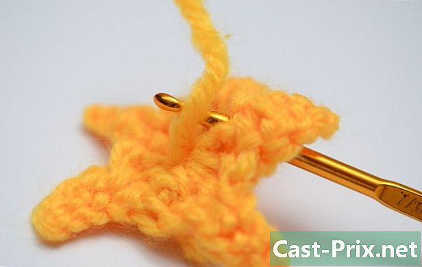 Cómo tejer una estrella de crochet - Guías
