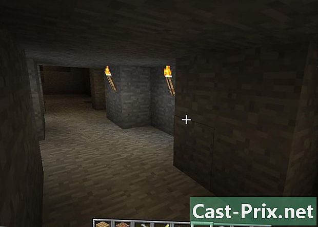 Sådan finder du og udvindes diamanter hurtigt i Minecraft
