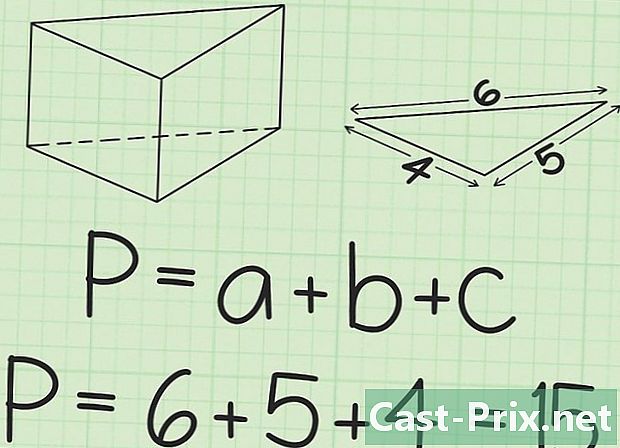 Hogyan lehet megtalálni a háromszög alakú prizma teljes területét?