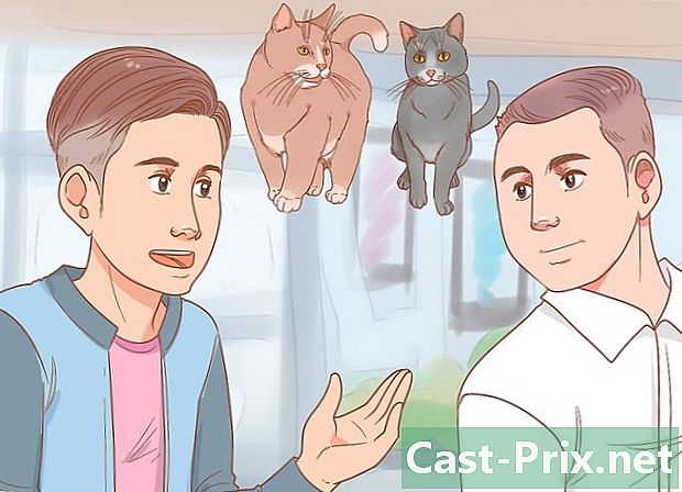 Как да намерите изгубена котка