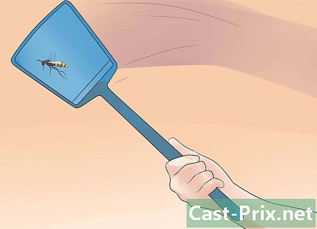 Cara membunuh tawon