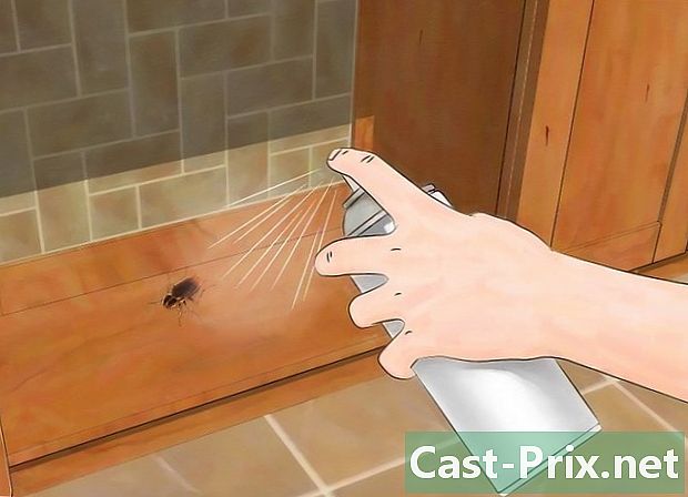 Hogyan lehet megölni a rovarokat a házban?