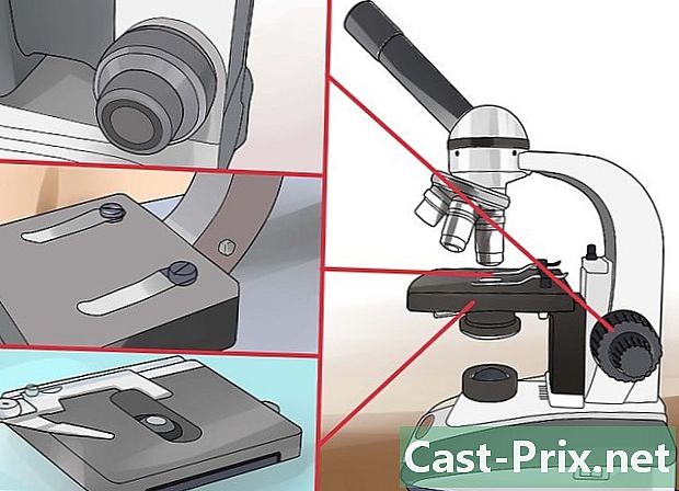 Hur man använder ett sammansatt mikroskop - Guider