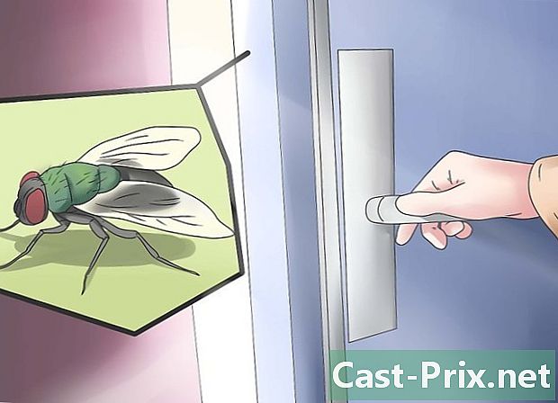 Evde sineklerden kurtulmak için nasıl